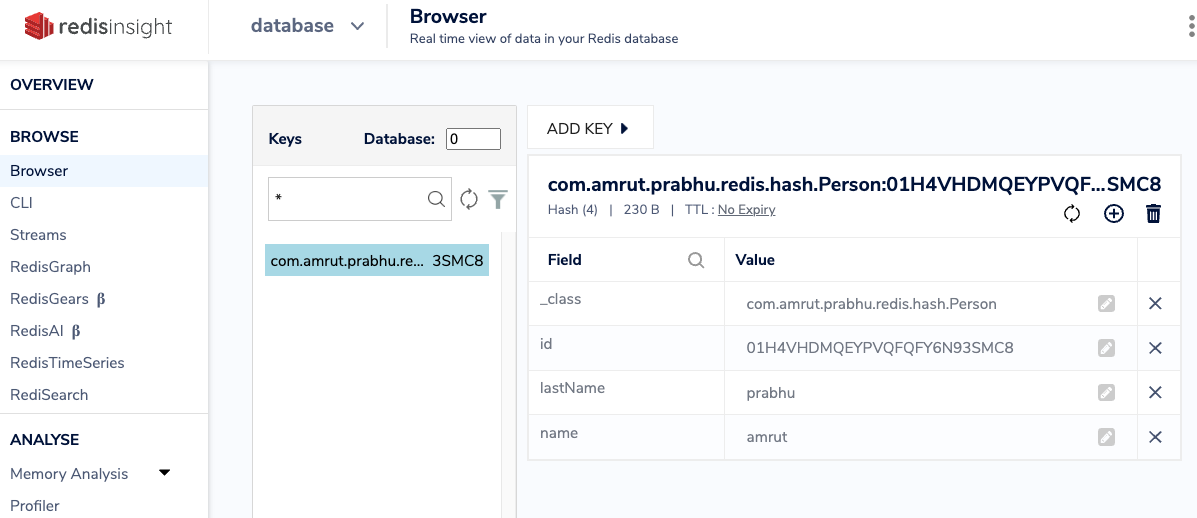 Redis Insight Browser
